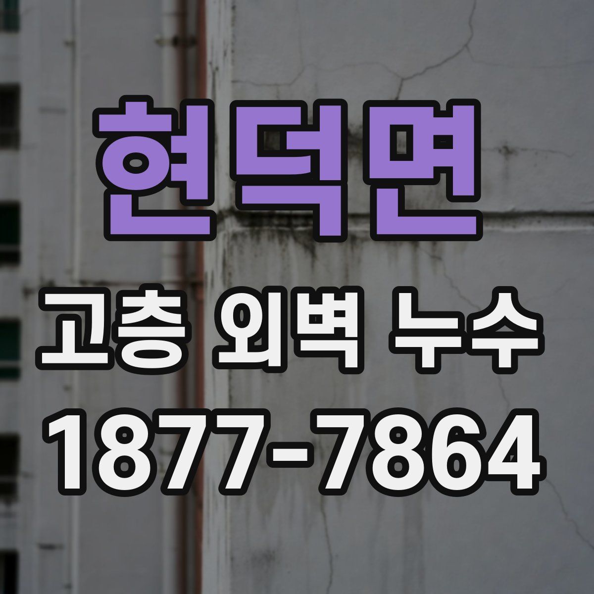 현덕면 고층 외벽 누수