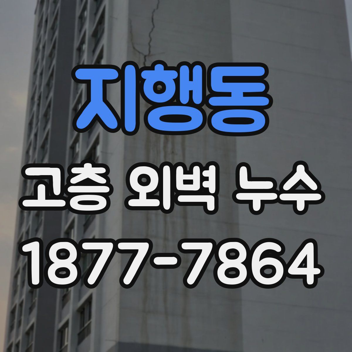 지행동 고층 외벽 누수