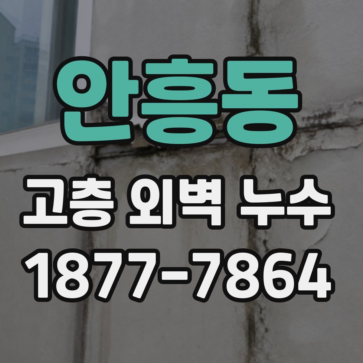 안흥동 고층 외벽 누수
