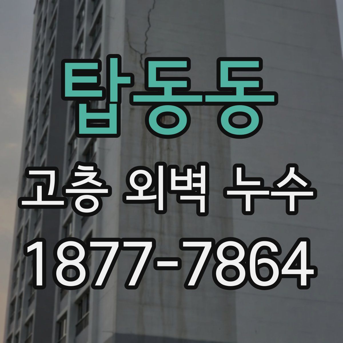 탑동동 고층 외벽 누수
