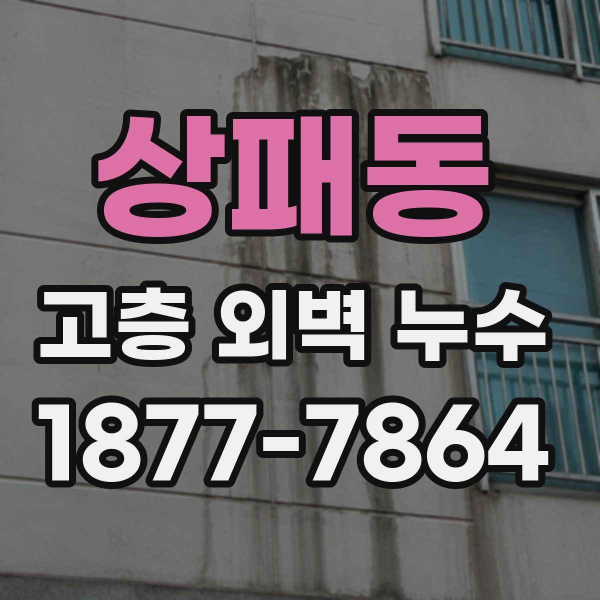 상패동 고층 외벽 누수