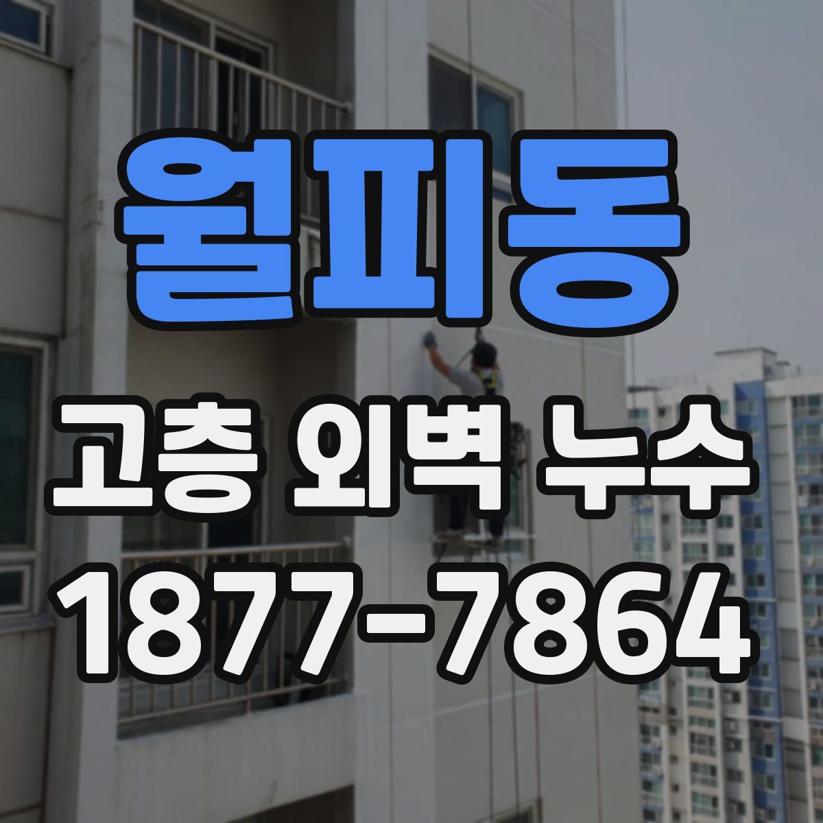 월피동 고층 외벽 누수