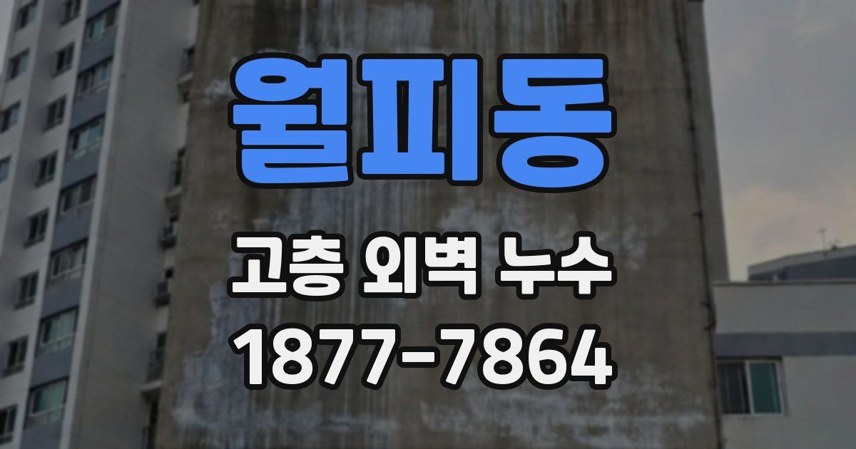 월피동 고층 외벽 누수