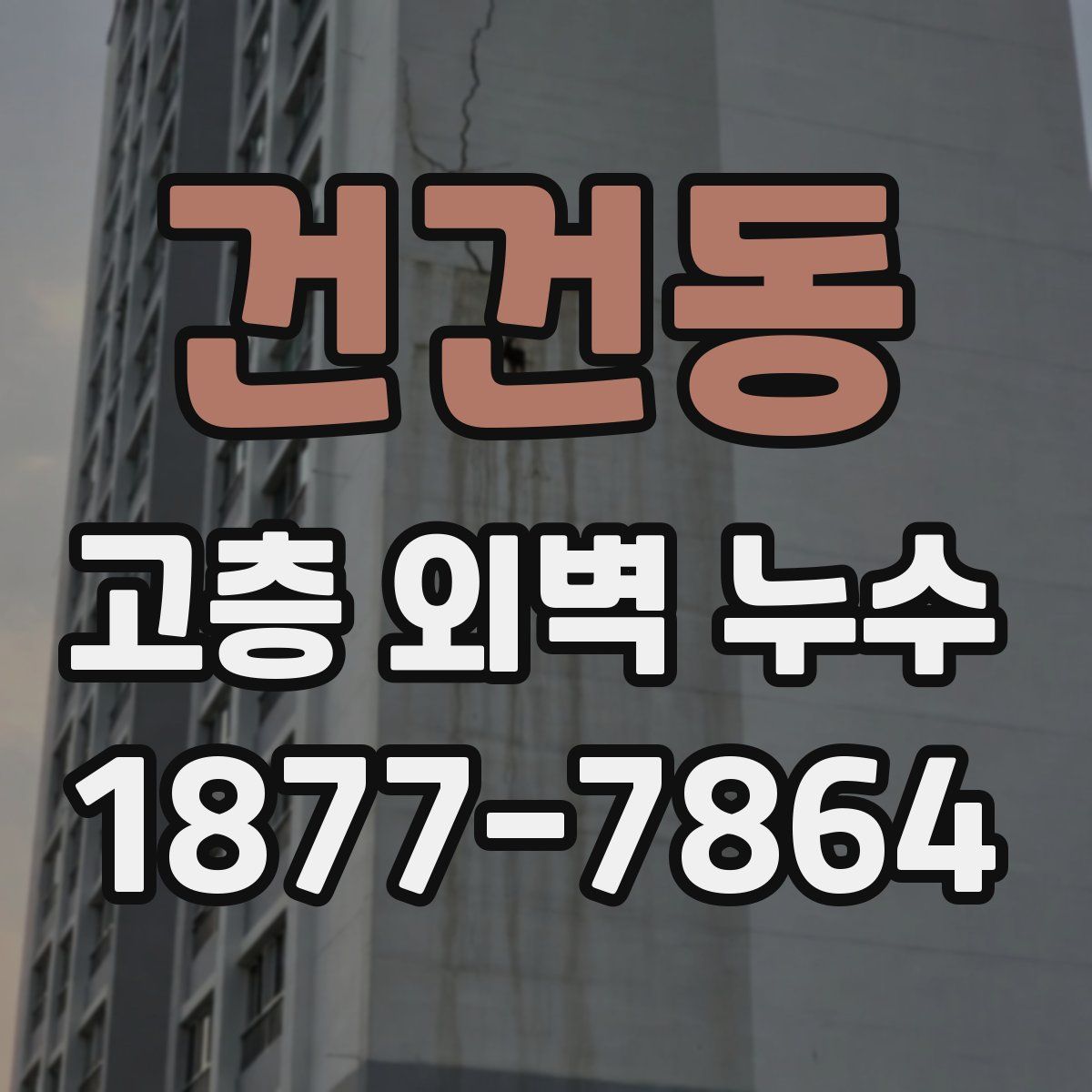 건건동 고층 외벽 누수