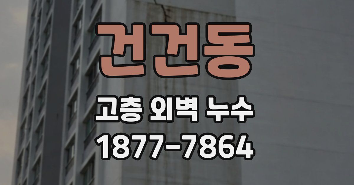 건건동 고층 외벽 누수