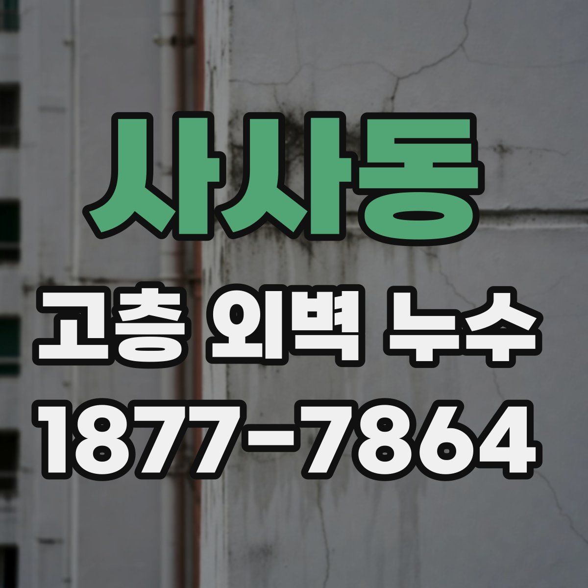 사사동 고층 외벽 누수