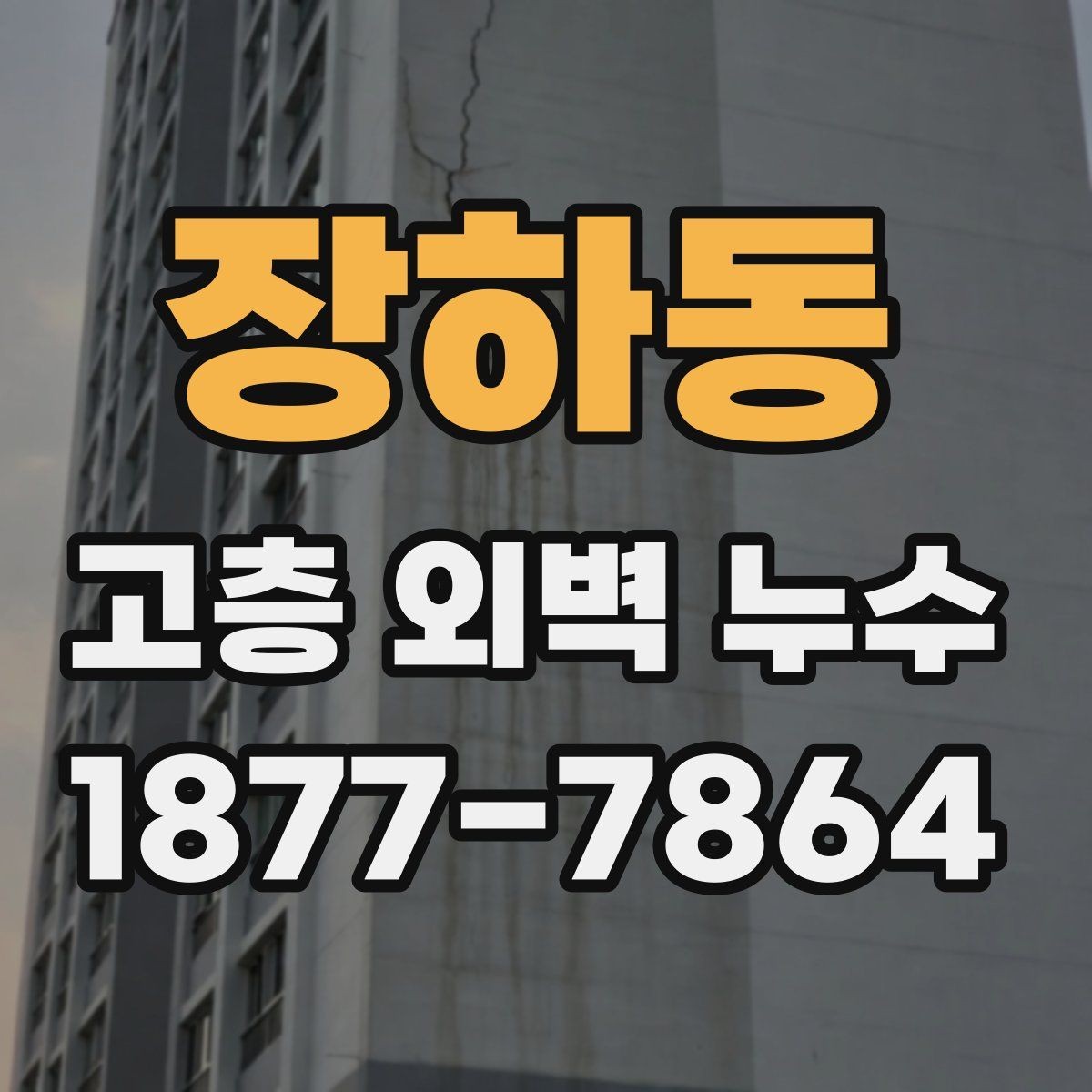 장하동 고층 외벽 누수 발생 시 임시 조치와 본공사 구분하기