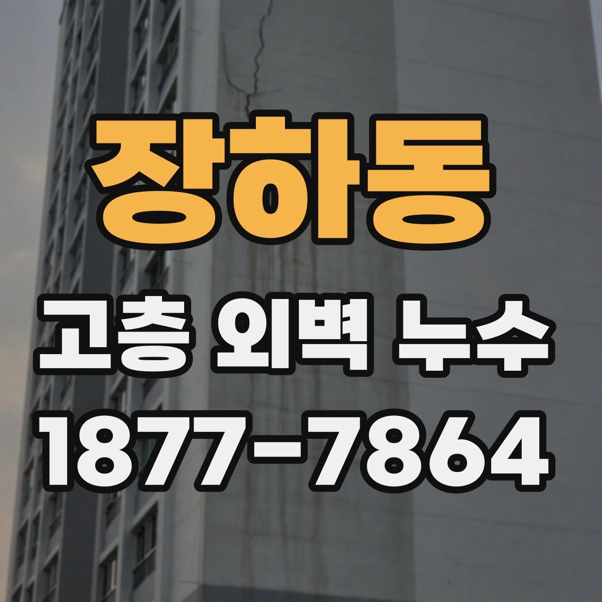 장하동 고층 외벽 누수
