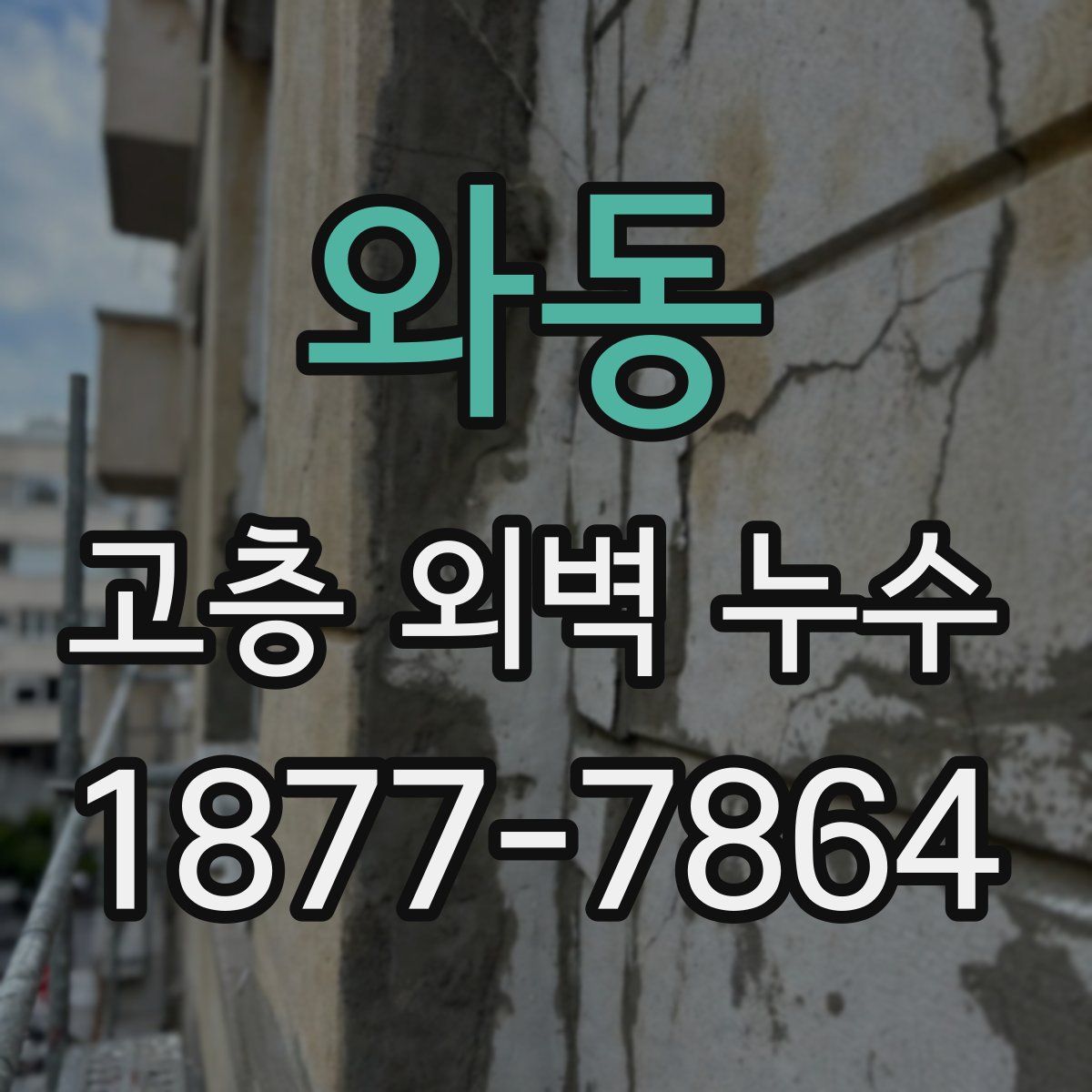 와동 고층 외벽 누수