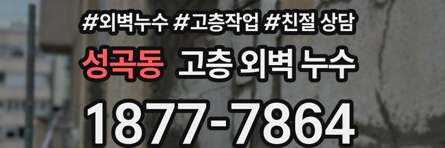 성곡동 고층 외벽 누수