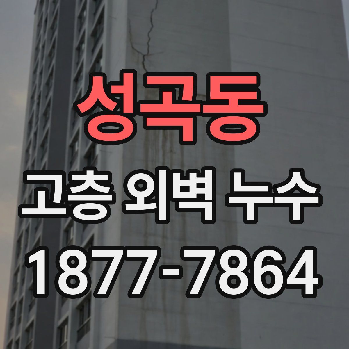 성곡동 고층 외벽 누수