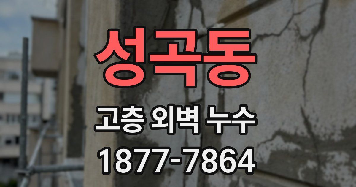 성곡동 고층 외벽 누수