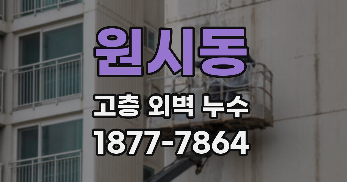 원시동 고층 외벽 누수