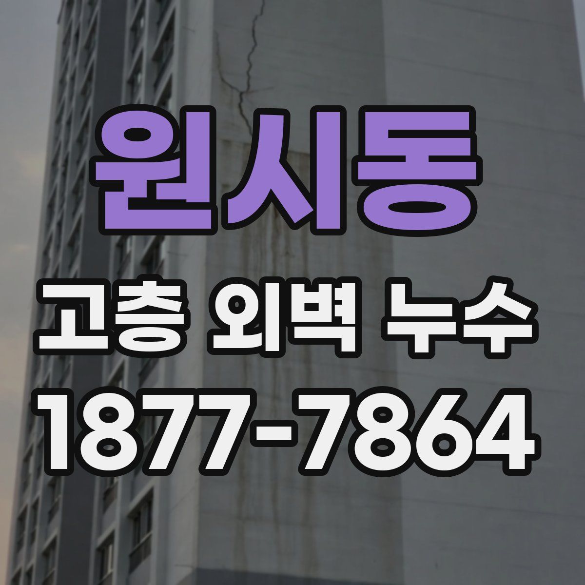 원시동 고층 외벽 누수