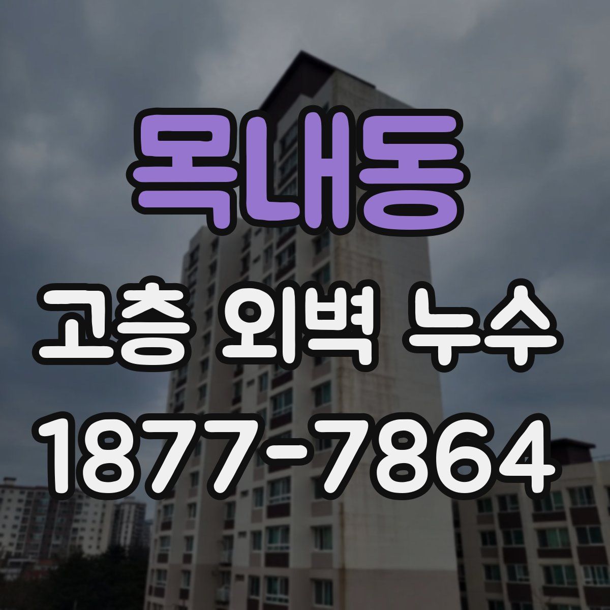 목내동 고층 외벽 누수