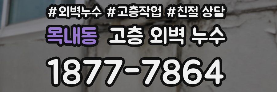 목내동 고층 외벽 누수