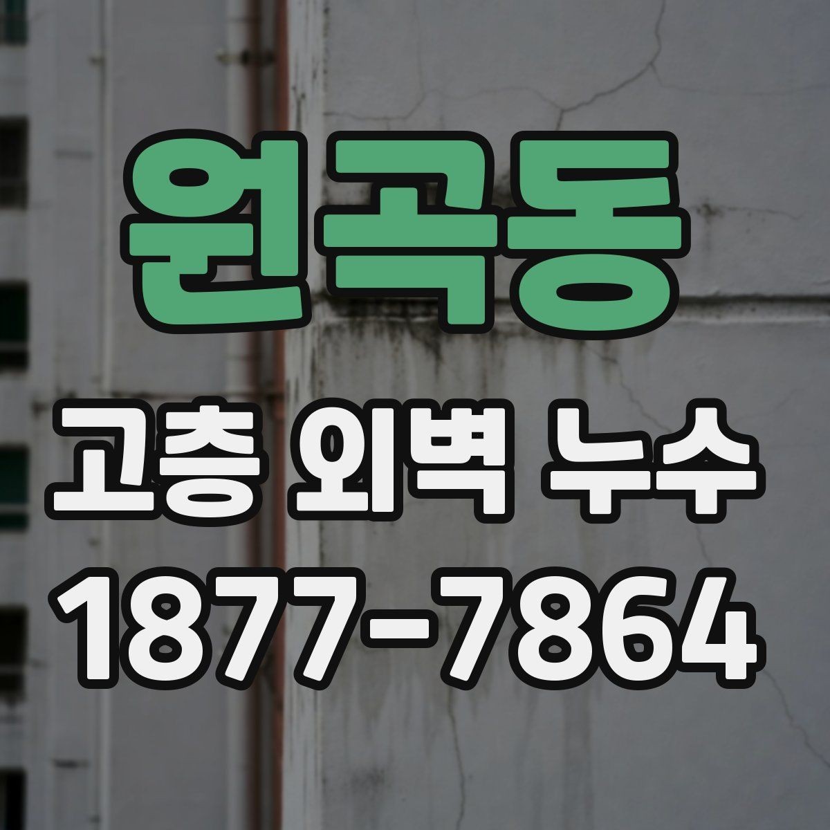 원곡동 고층 외벽 누수 점검부터 시공까지 알아야 할 흐름