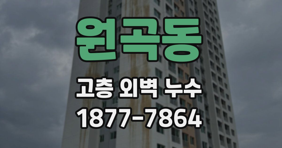 원곡동 고층 외벽 누수