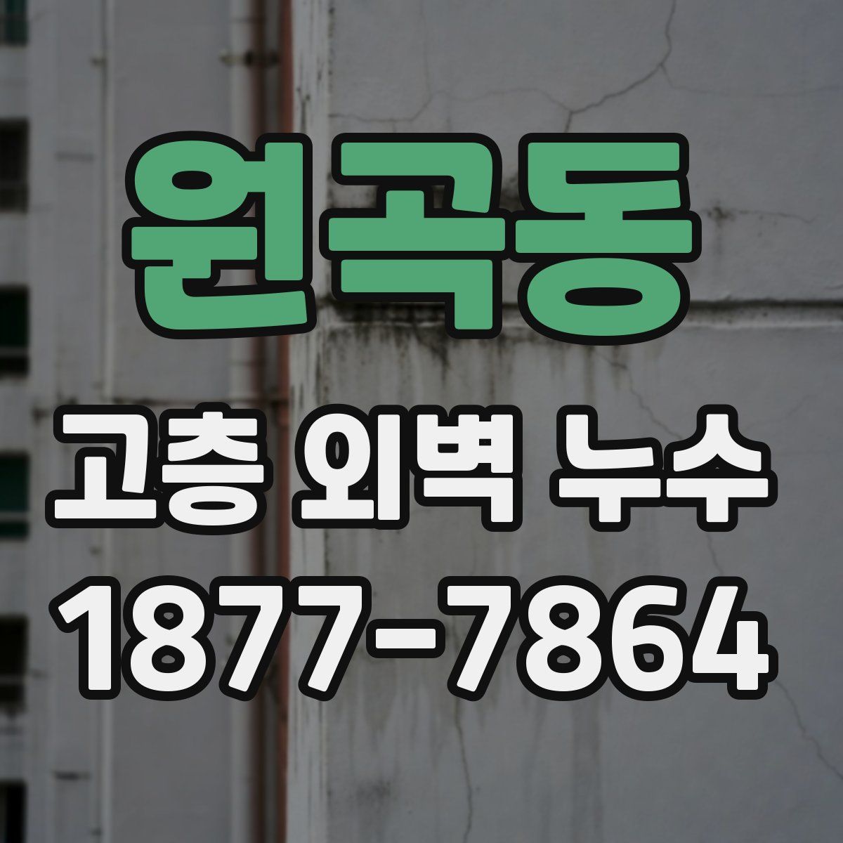 원곡동 고층 외벽 누수