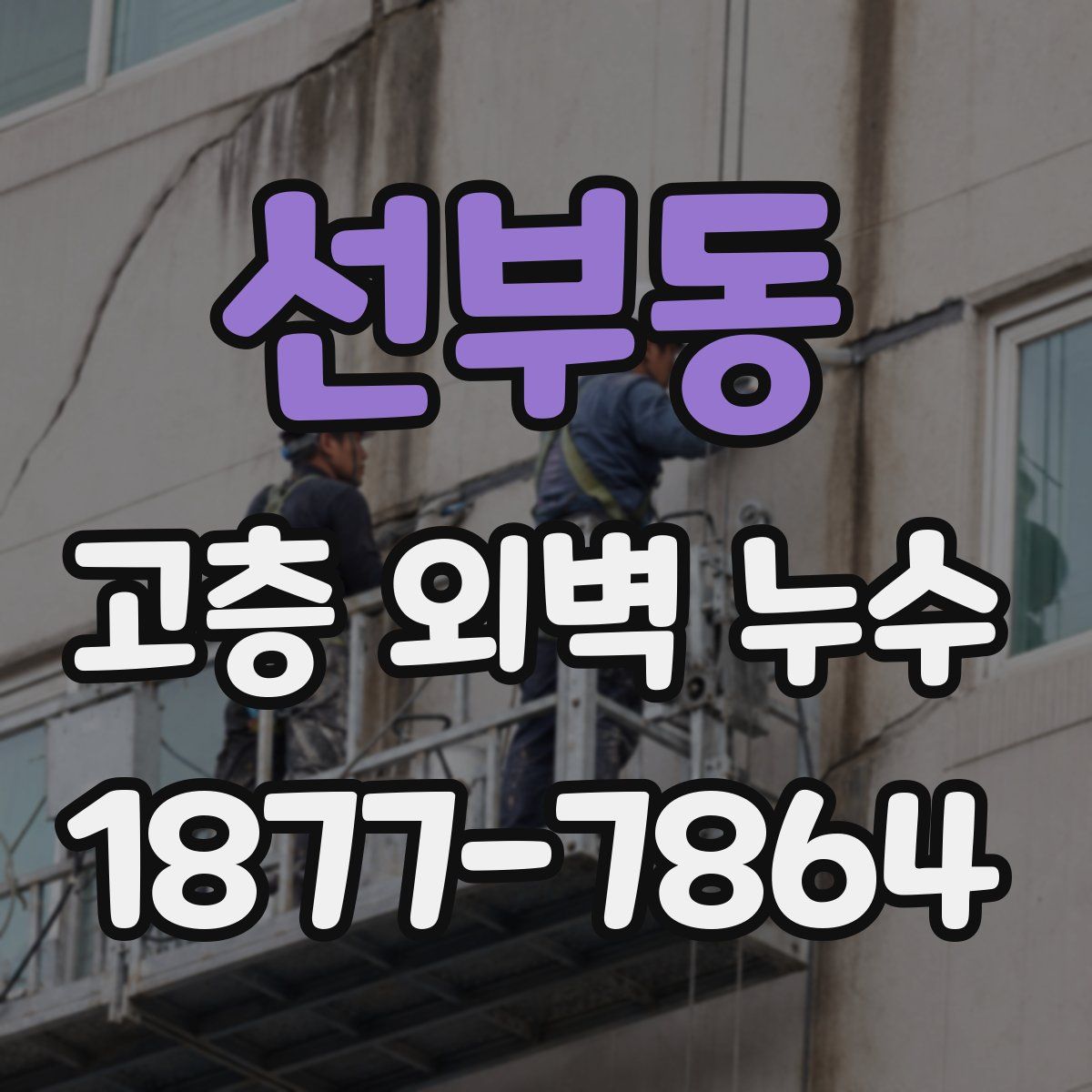 선부동 고층 외벽 누수