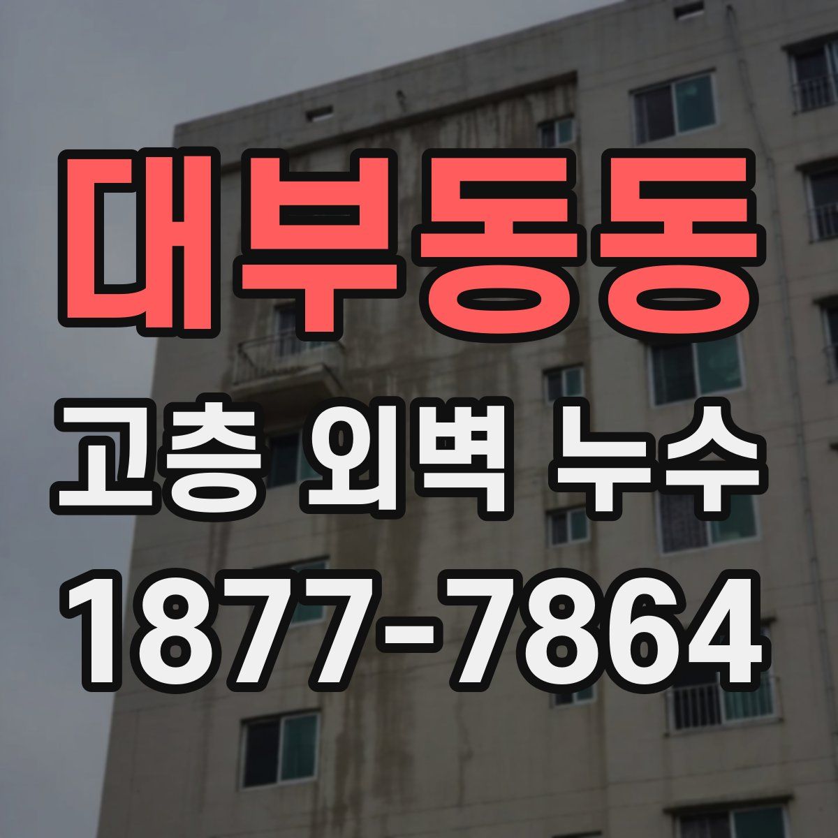 대부동동 고층 외벽 누수
