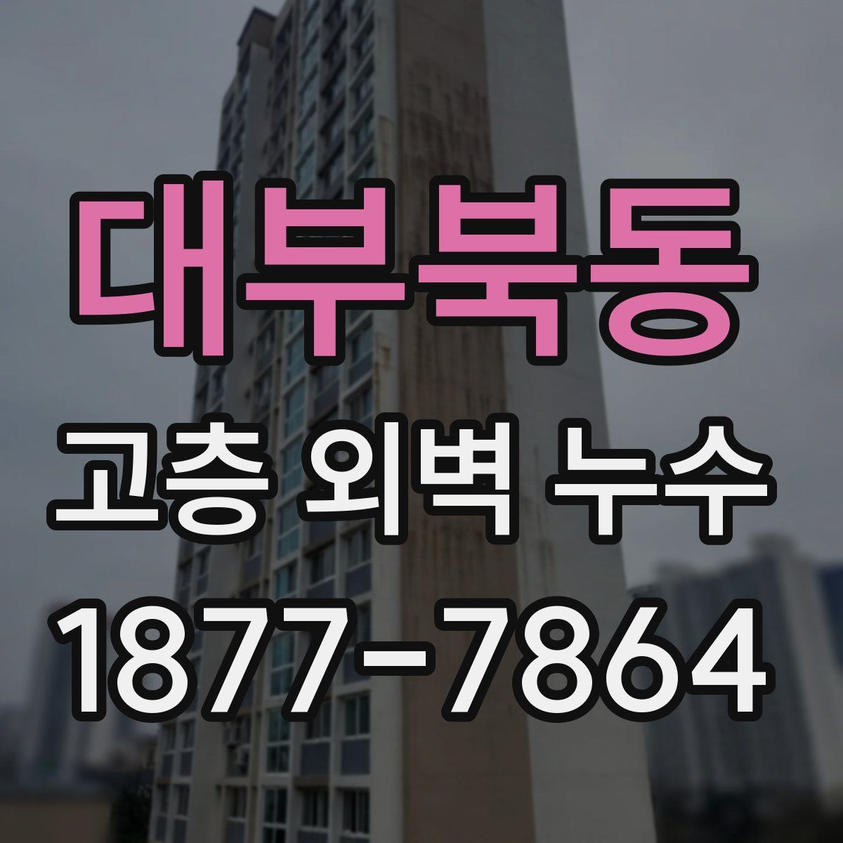 대부북동 고층 외벽 누수