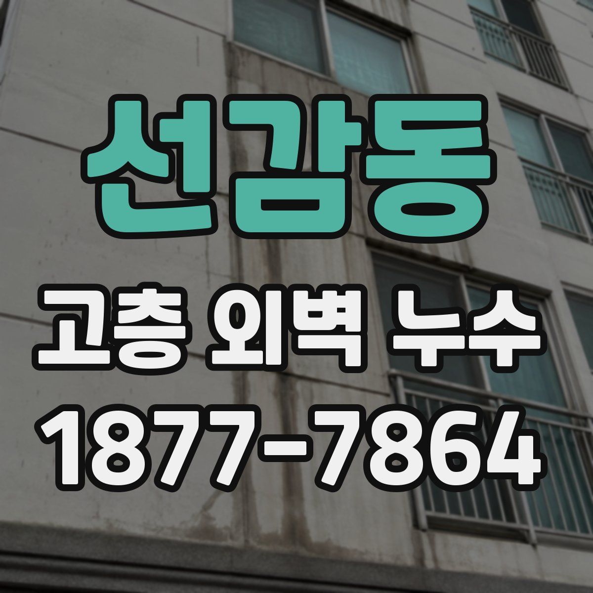 선감동 고층 외벽 누수