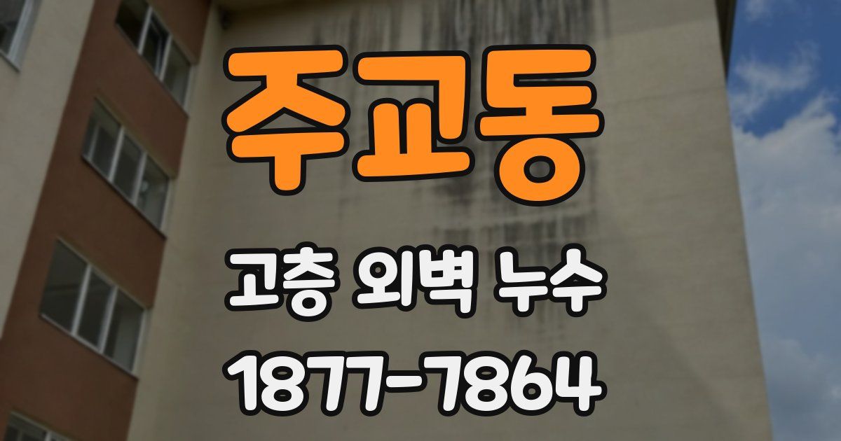 주교동 고층 외벽 누수