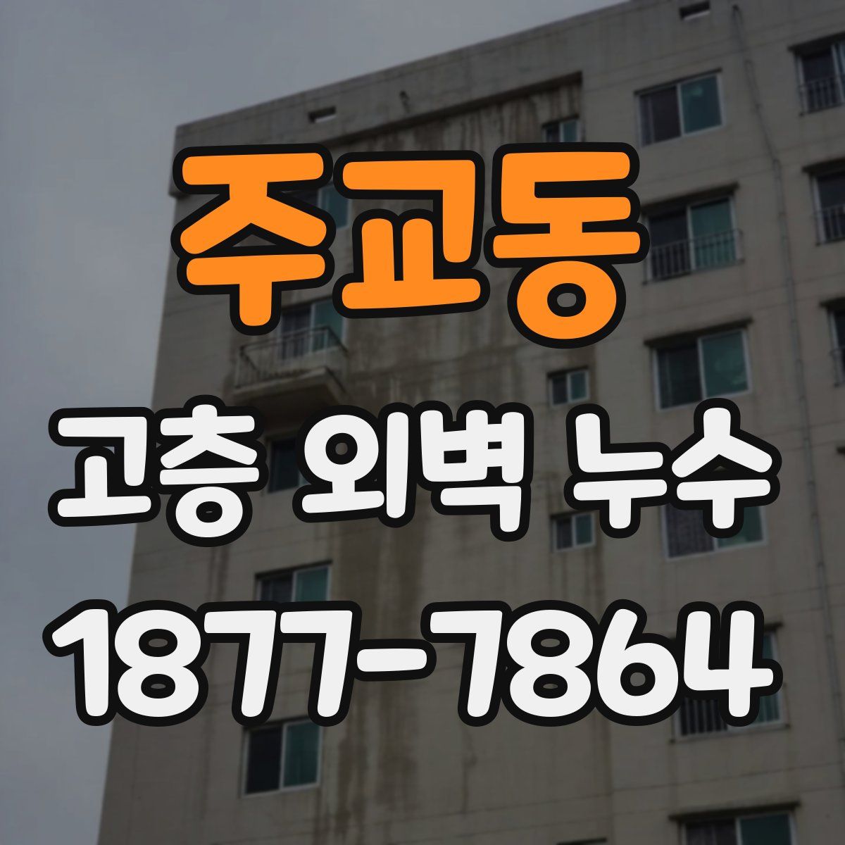 주교동 고층 외벽 누수