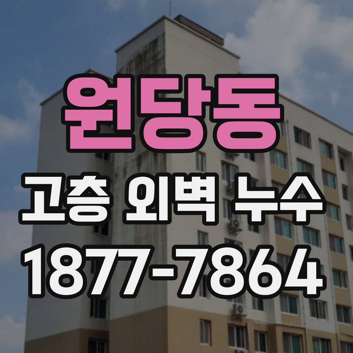 원당동 고층 외벽 누수