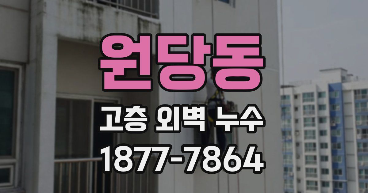 원당동 고층 외벽 누수