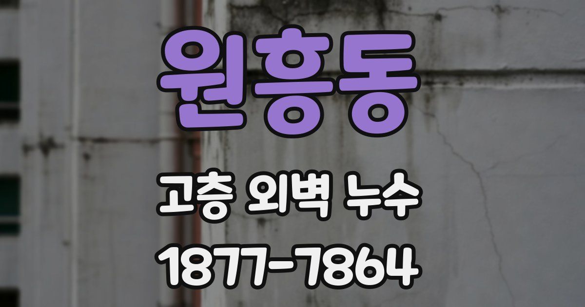 원흥동 고층 외벽 누수