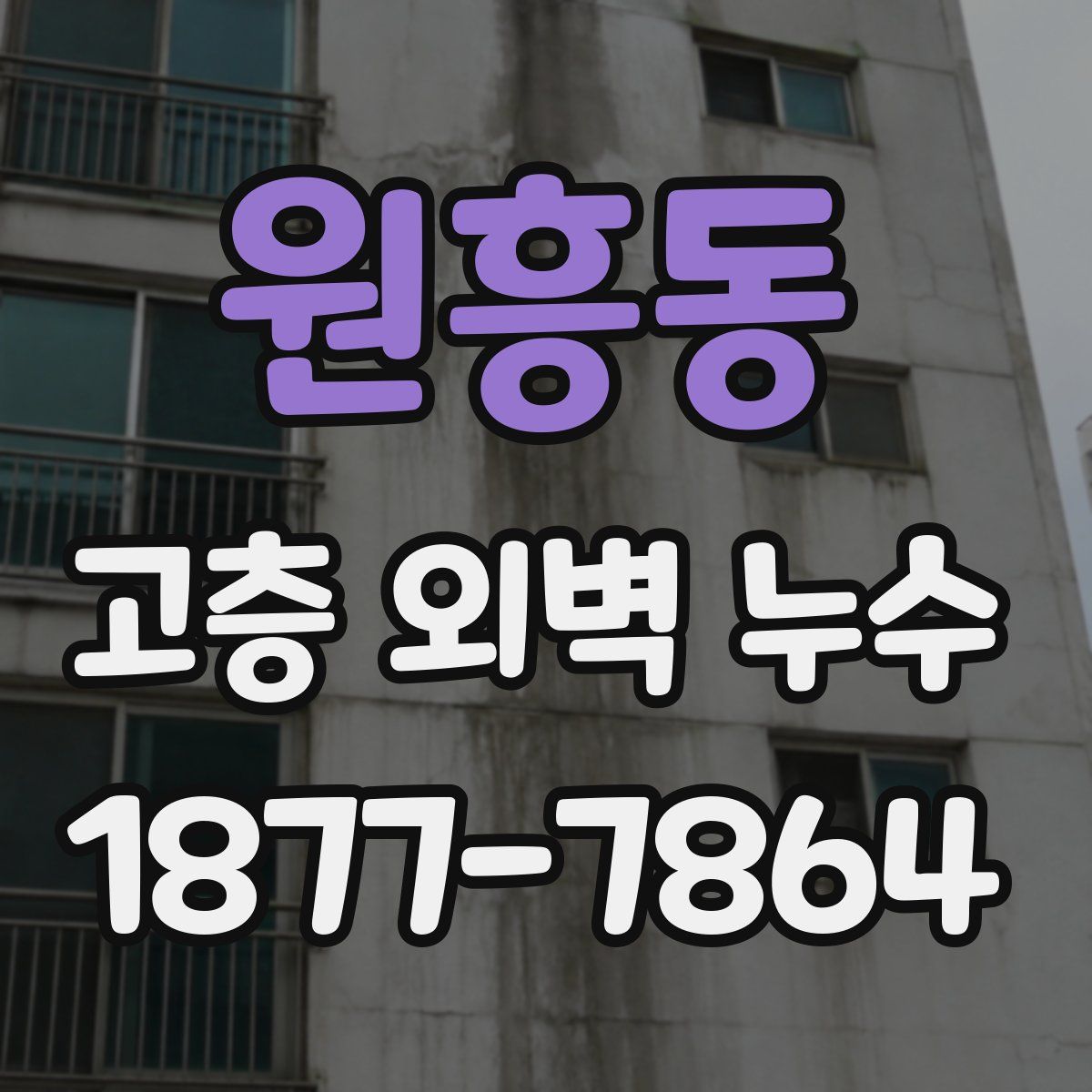 원흥동 고층 외벽 누수