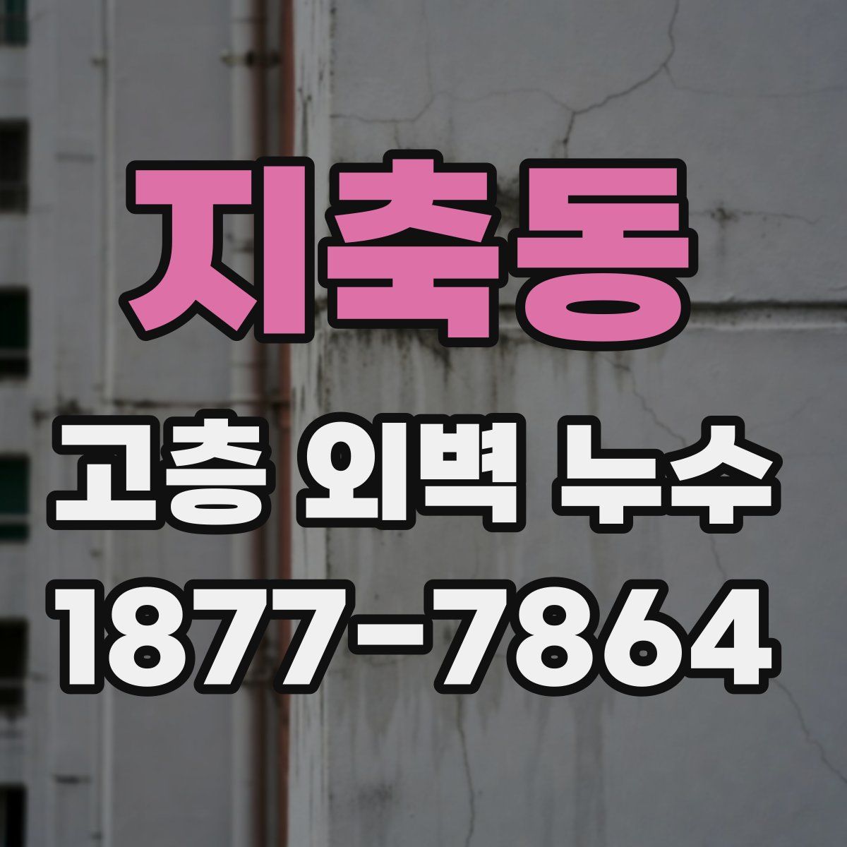 지축동 고층 외벽 누수