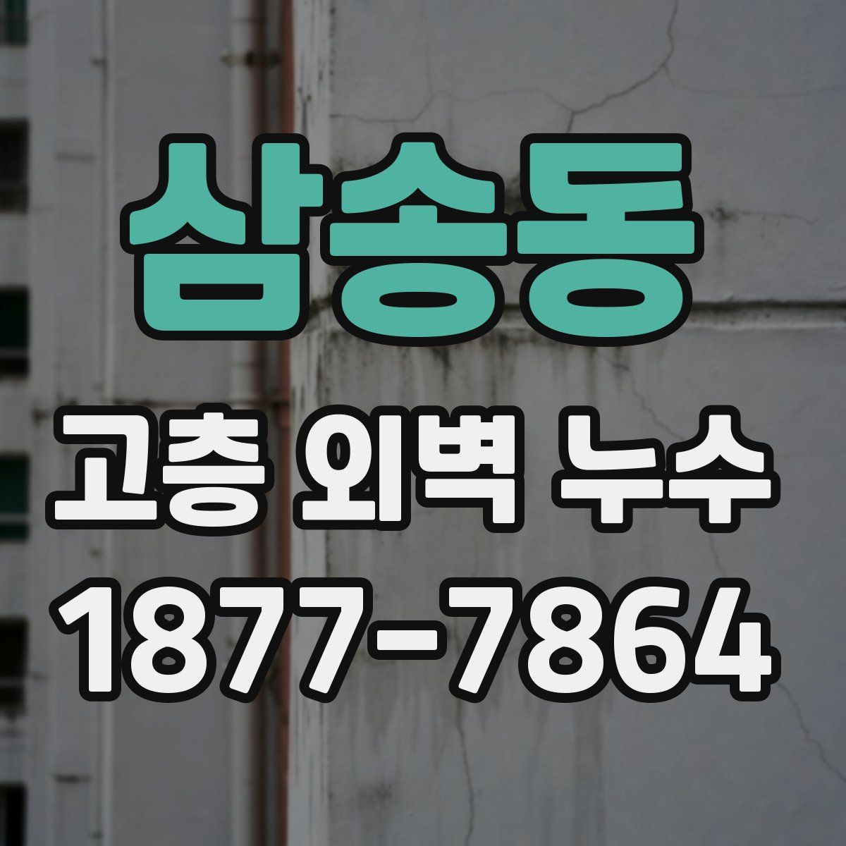 삼송동 고층 외벽 누수