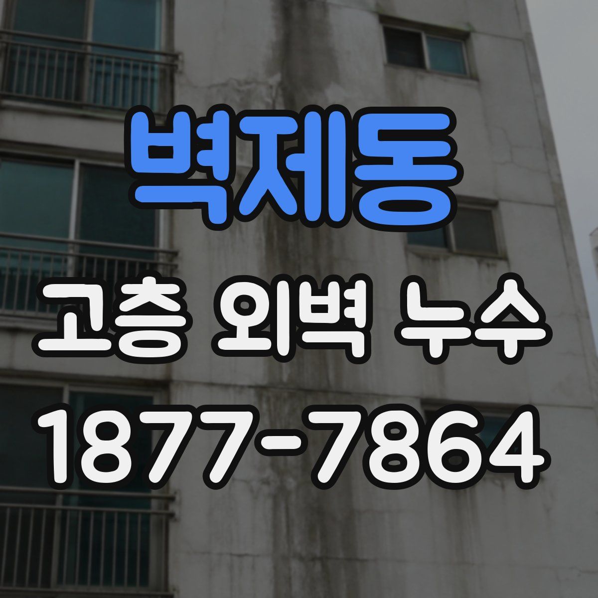 벽제동 고층 외벽 누수