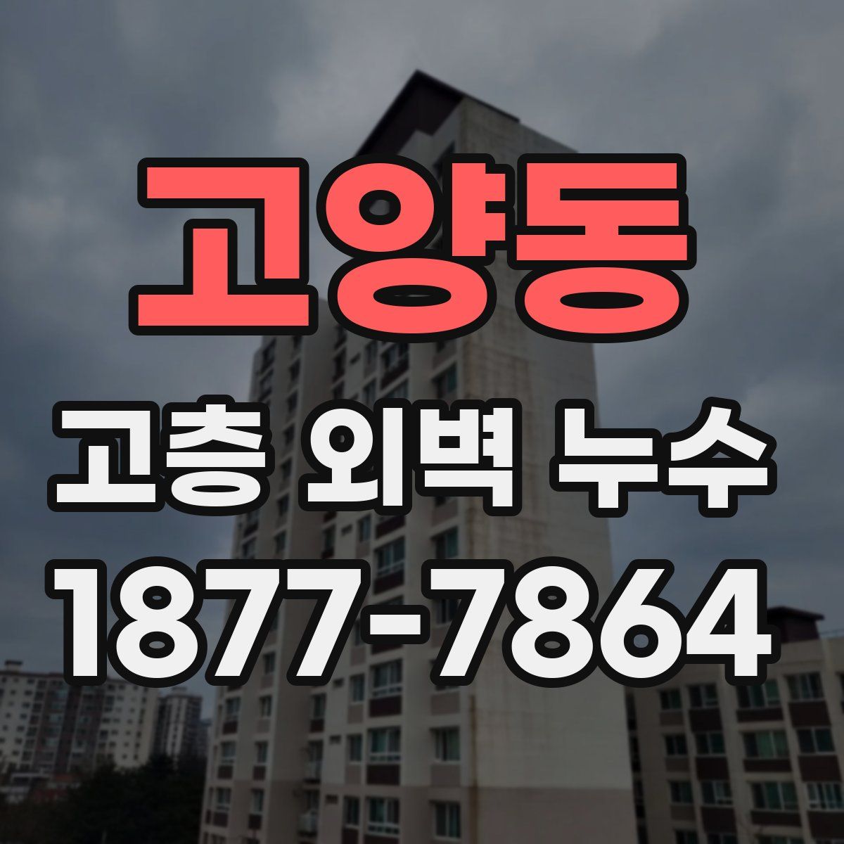 고양동 고층 외벽 누수