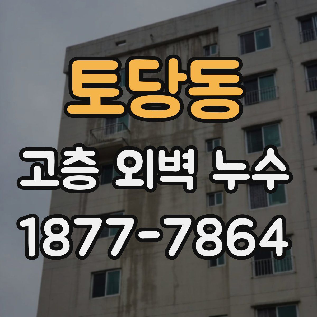토당동 고층 외벽 누수