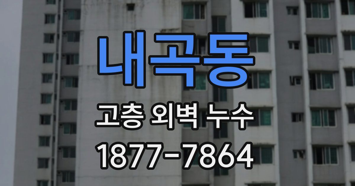 내곡동 고층 외벽 누수