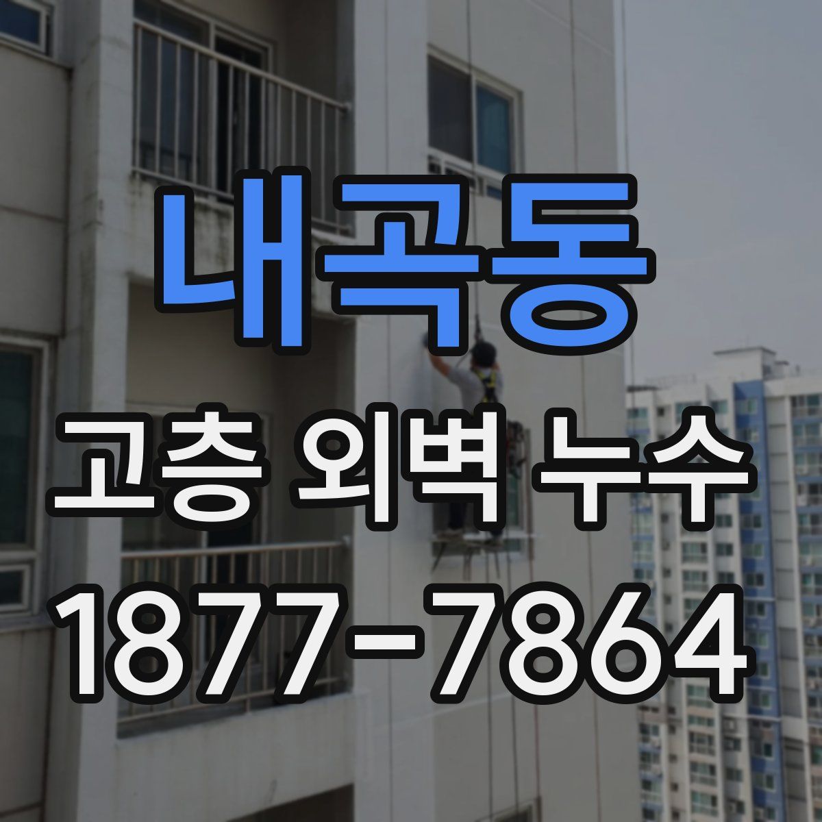 내곡동 고층 외벽 누수