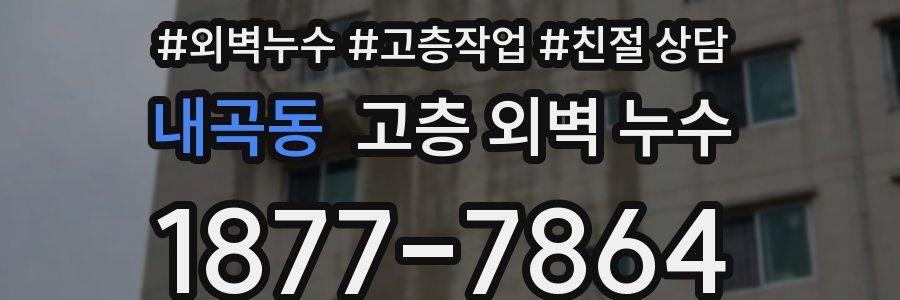 내곡동 고층 외벽 누수