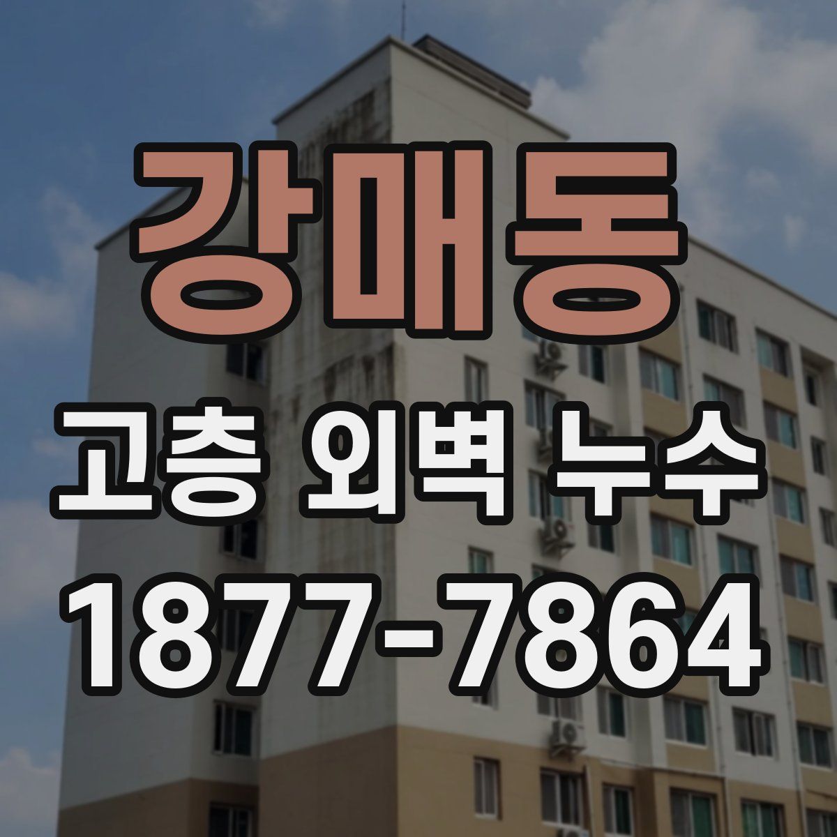 강매동 고층 외벽 누수