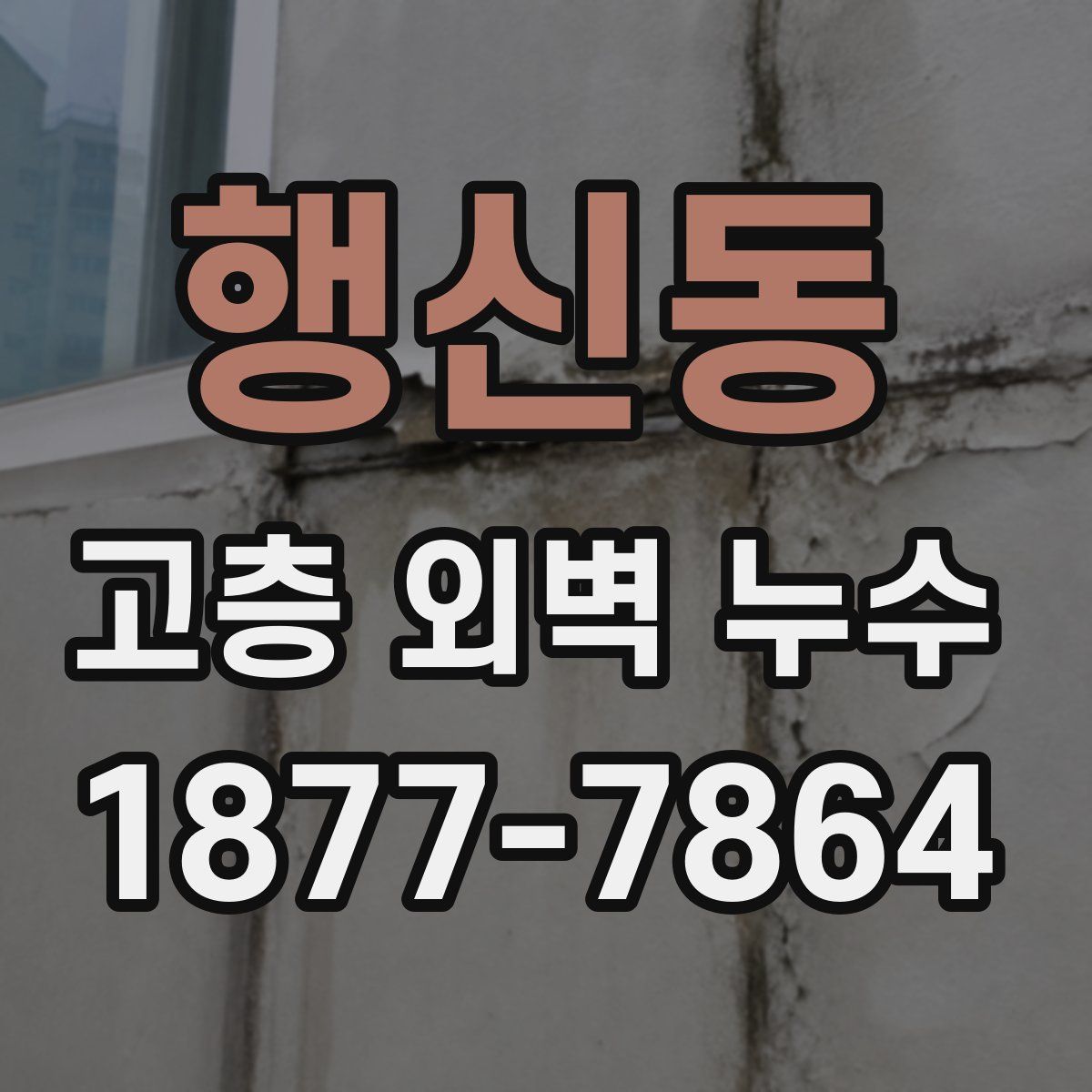 행신동 고층 외벽 누수