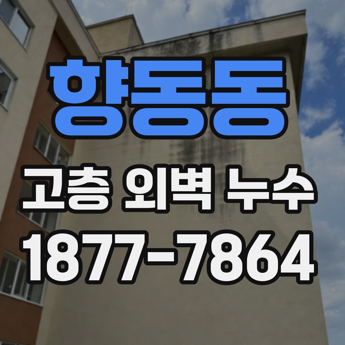 향동동 고층 외벽 누수