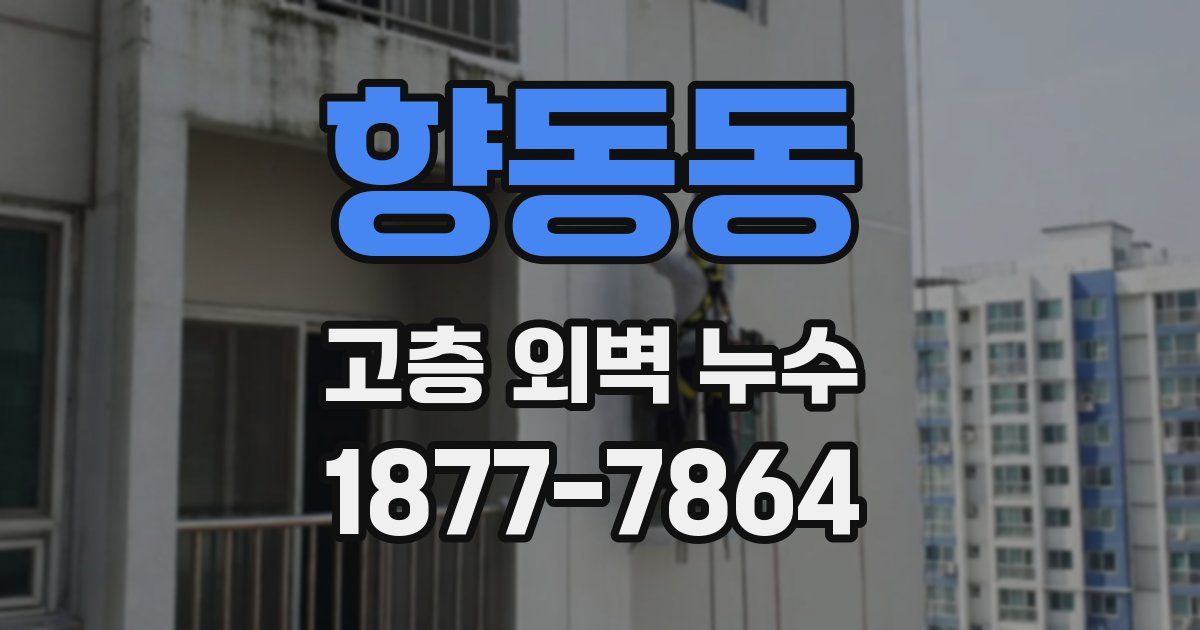 향동동 고층 외벽 누수