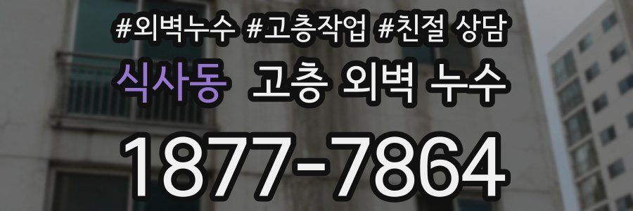 식사동 고층 외벽 누수