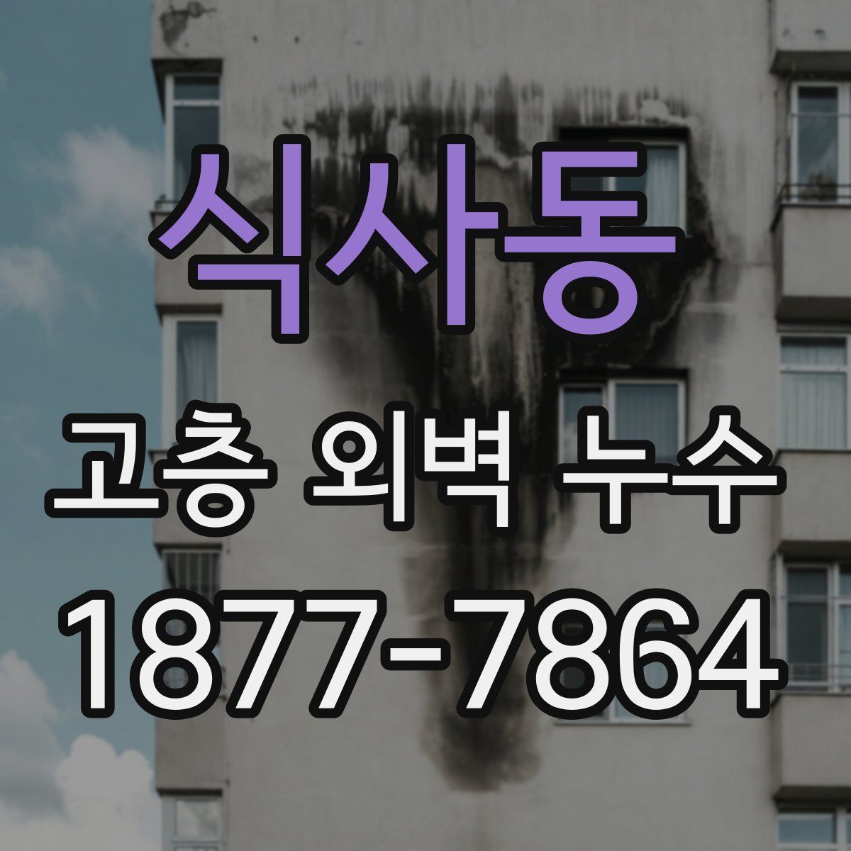 식사동 고층 외벽 누수