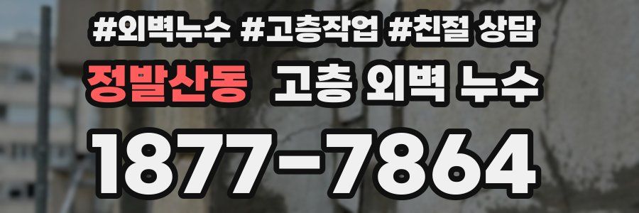 정발산동 고층 외벽 누수