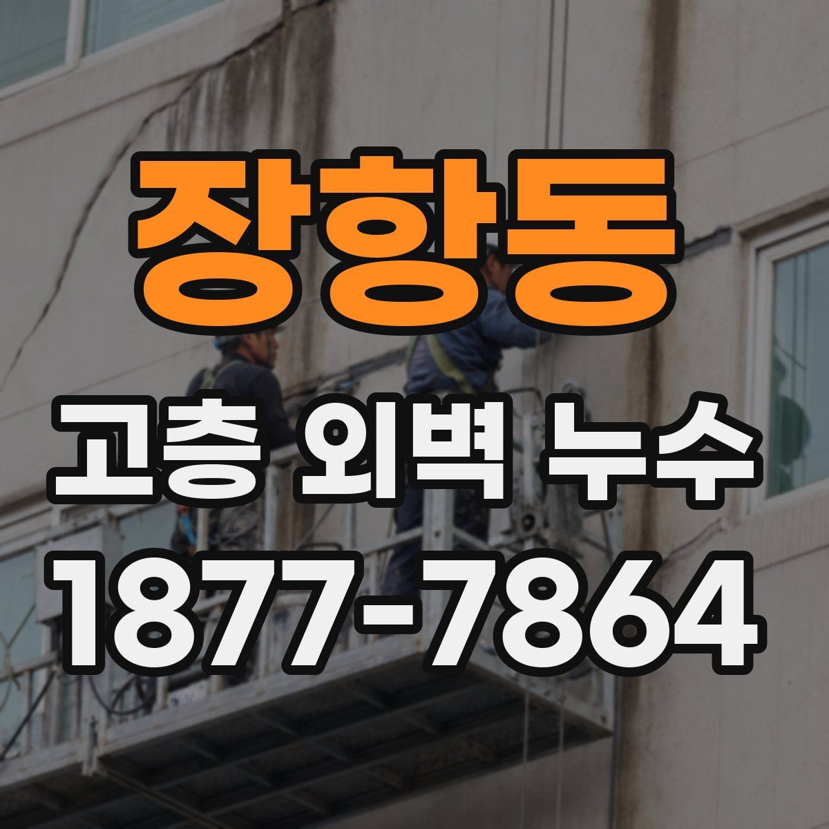 장항동 고층 외벽 누수
