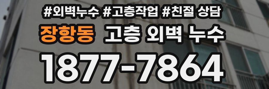 장항동 고층 외벽 누수